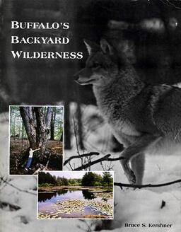 Buffalo's Backyard Wilderness
